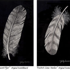 Two single feathers done as original scratchboards © Judy Lavoie 2024