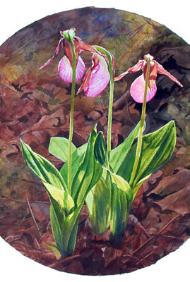 "Three Sisters" acrylic on watercolor paper © Judy Lavoie 2007