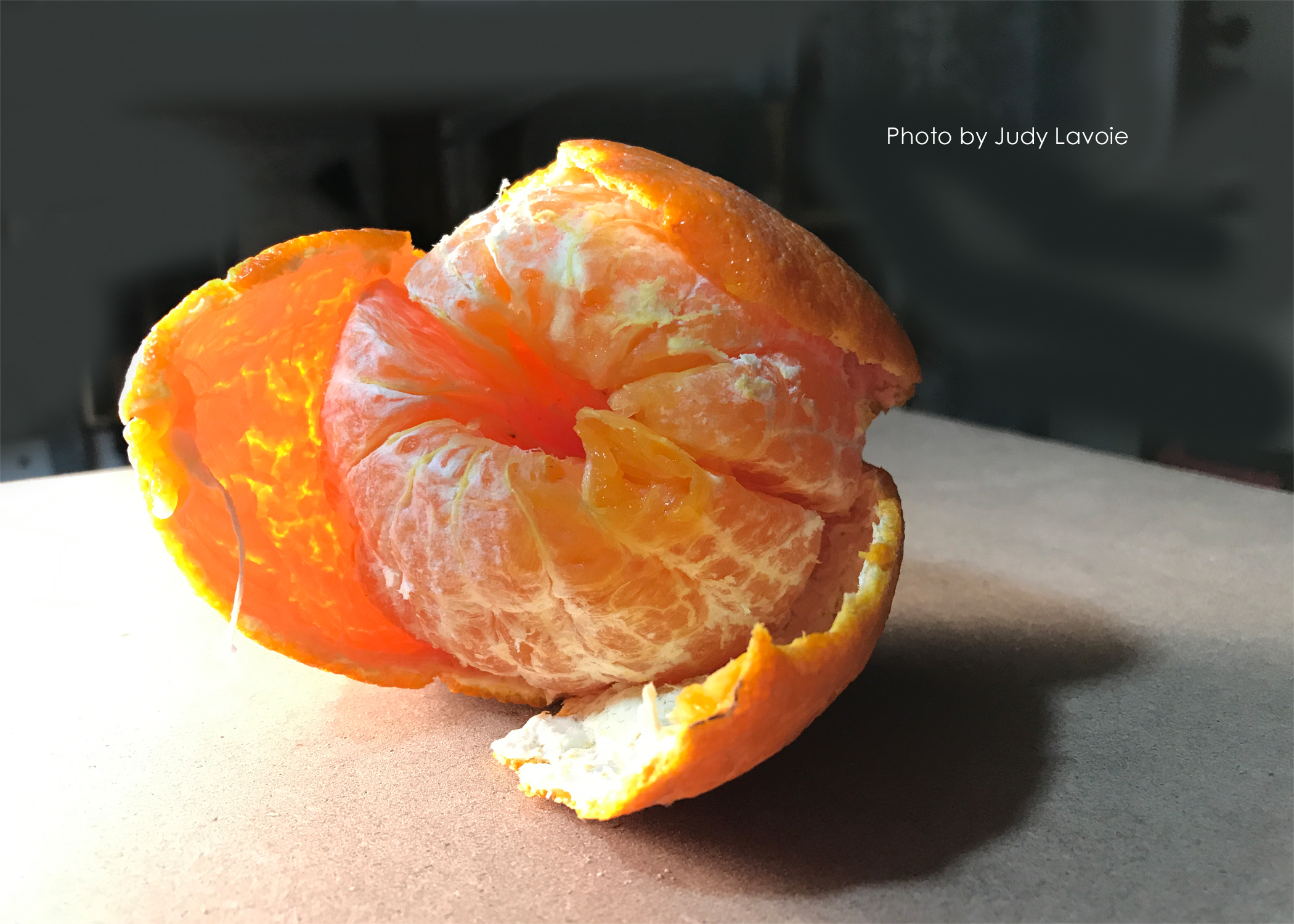 peeled orange photo by Judy Lavoie