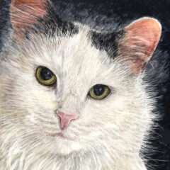 "Bella" original watercolor on Claybord™ © Judy Lavoie 2025