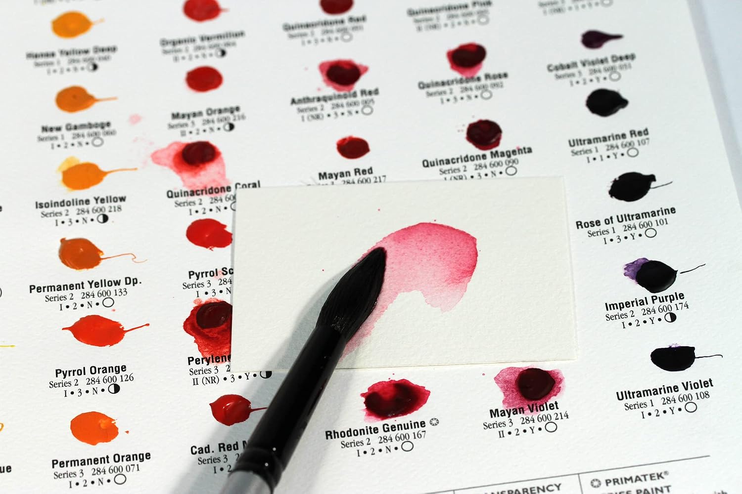 Sample Dot Card