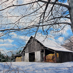 "December Snow," acrylic painting © Judy Lavoie 2011
