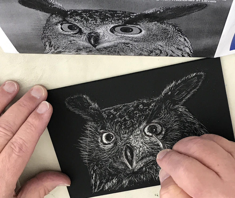 Scratchboard of an owl by one of Judy's students