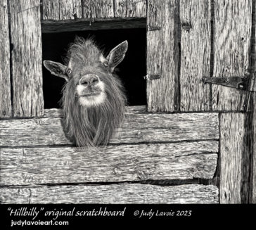 "Hillbilly" original scratchboard © Judy Lavoie 2023
