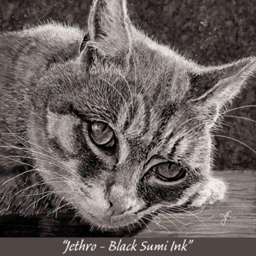 "Jethro in Black Sumi Ink" on Claybord™ © Judy Lavoie 2021