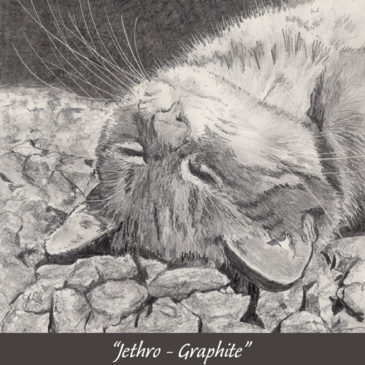 "Jethro In Graphite" © Judy Lavoie 2021