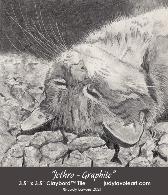 "Jethro In Graphite" © Judy Lavoie 2021