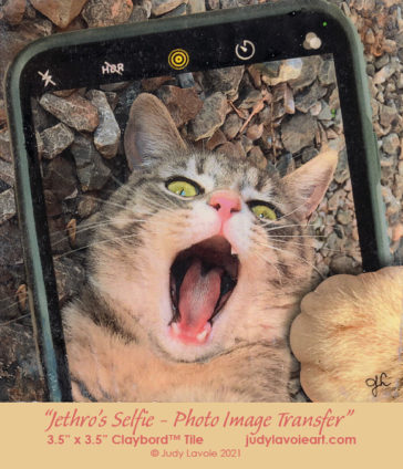 "Jethro's Selfie - Photo Image Transfer" © Judy Lavoie 2021