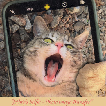 "Jethro's Selfie - Photo Image Transfer" © Judy Lavoie 2021