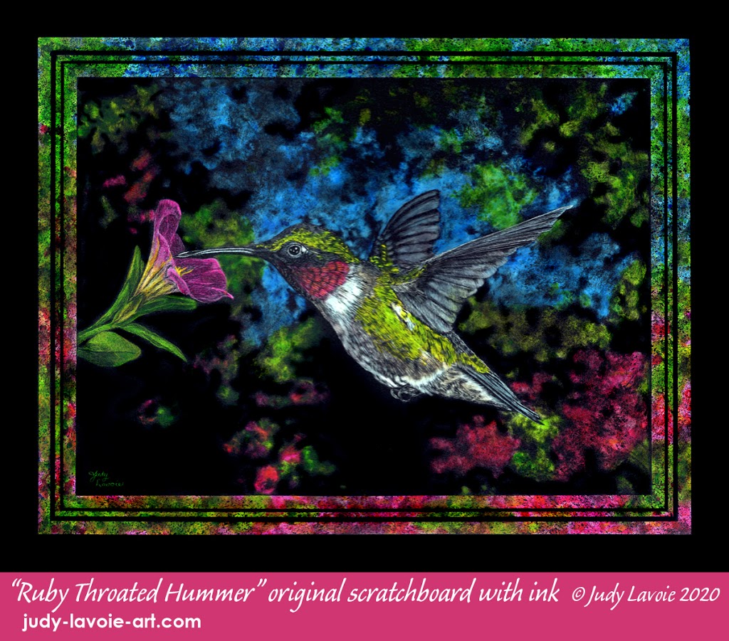 "Ruby Throated Hummer," a scratchboard with inks © Judy Lavoie