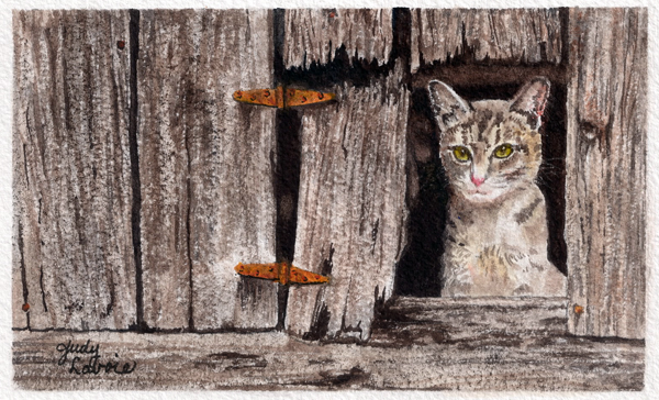 "My Barn Kitty" original watercolor with whiskey © Judy Lavoie 2025