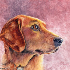"Sadie" original watercolor on Aquabord™ © Judy Lavoie 2025
