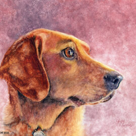 "Sadie" original watercolor on Aquabord™ © Judy Lavoie 2025