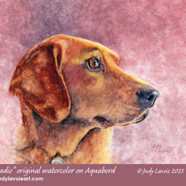 "Sadie" original watercolor on Aquabord © Judy Lavoie 2025