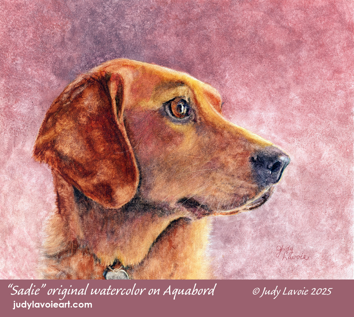 "Sadie" original watercolor on Aquabord © Judy Lavoie 2025