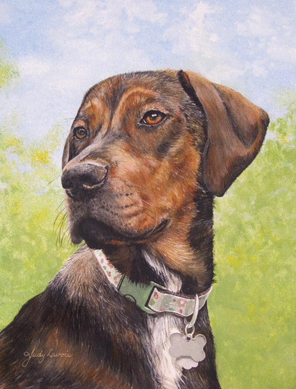 "Sally Mae" commission by Judy Lavoie