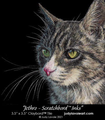 "Jethro - Scratchbord Inks" on Claybord™ © Judy Lavoie 2021