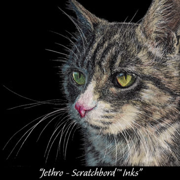 "Jethro - Scratchbord Inks" on Claybord™ © Judy Lavoie 2021