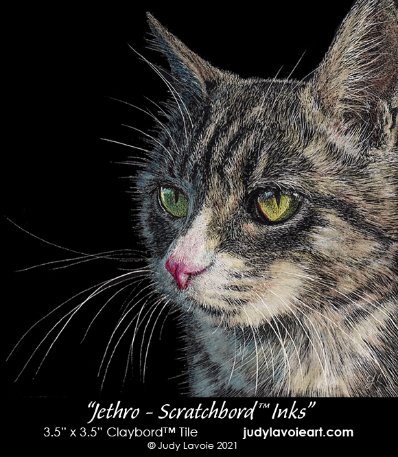 "Jethro - Scratchbord Inks" on Claybord™ © Judy Lavoie 2021