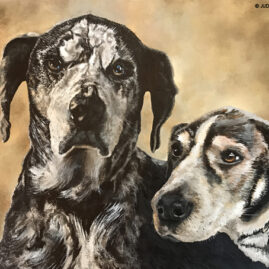 "Seamus & Murphy," original acrylic commissioned pet portrait © Judy Lavoie 2025