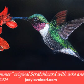 "Summer Hummer," original Scratchbord™ © Judy Lavoie 2024