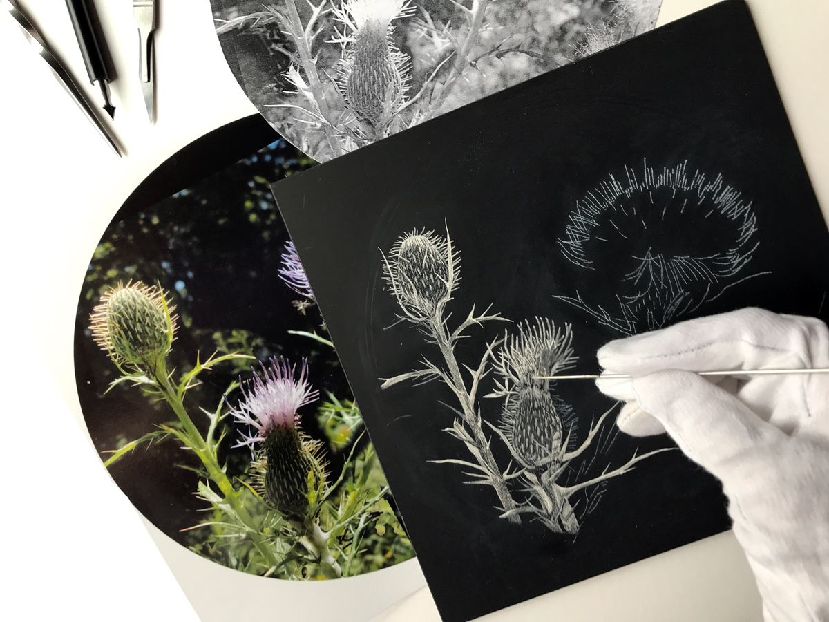 working set-up for creating the scratchboard "Thistle"