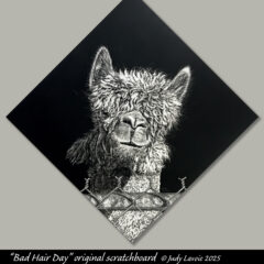 "Bad Hair Day" original scratchboard © Judy Lavoie 2025