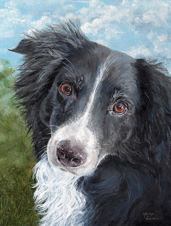 "Bandit" commission by Judy Lavoie
