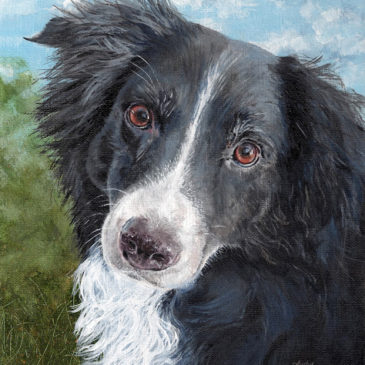 "Bandit," original acrylic painting commission © Judy Lavoie 2020