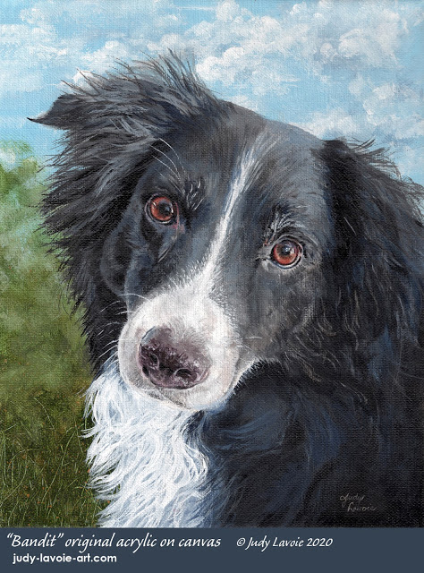 Bandit, original acrylic painting commission © Judy Lavoie 2020