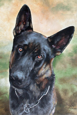 "Baron" commissioned pet portrait in acrylics © Judy Lavoie 2008