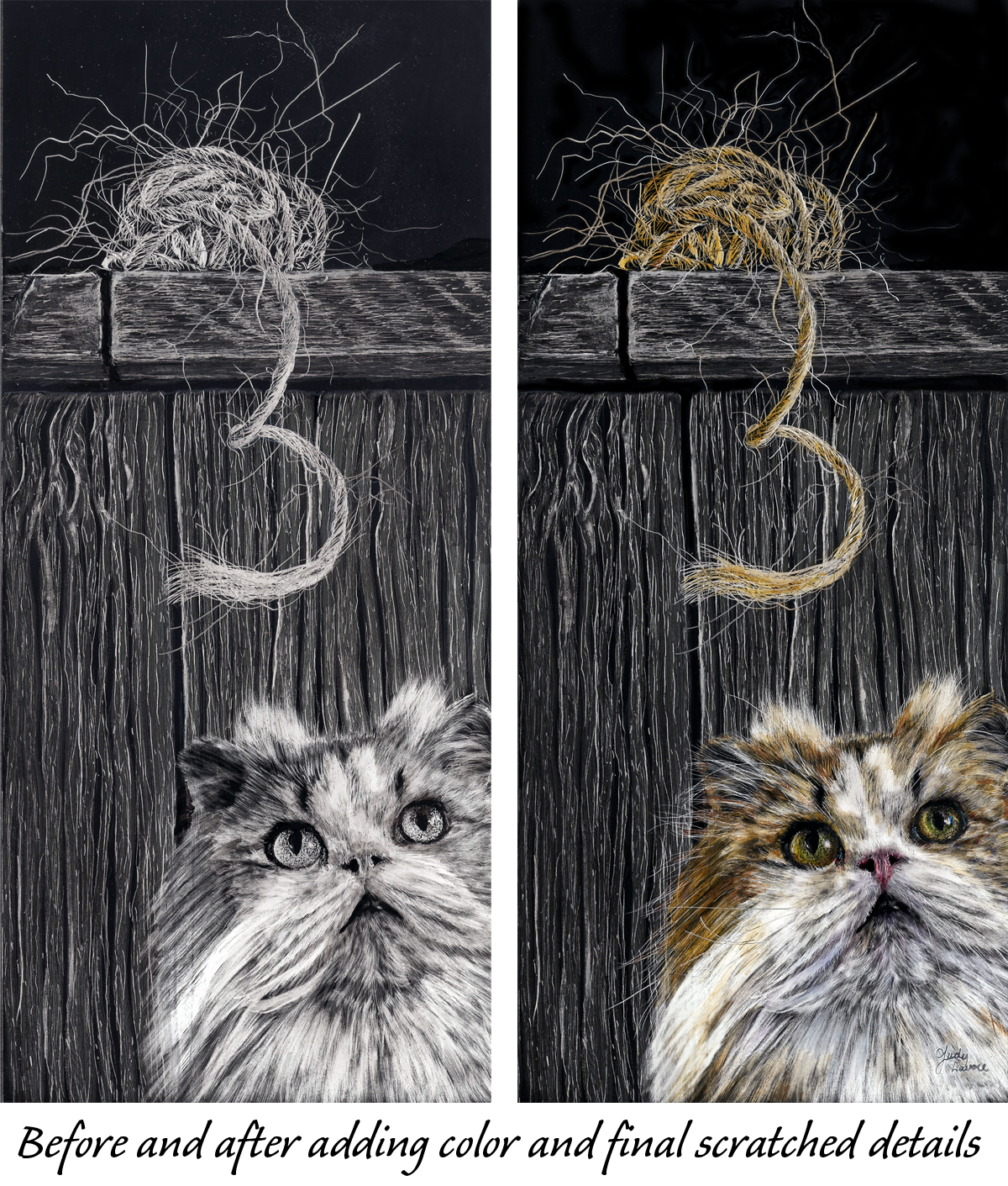 Two versions of "Curious" to illustrate the addition of color to a scratchboard