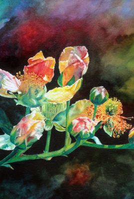 "Blackberry Blossom" watercolor © Judy Lavoie 2021