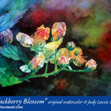 "Blackberry Blossom" title image © Judy Lavoie 2021