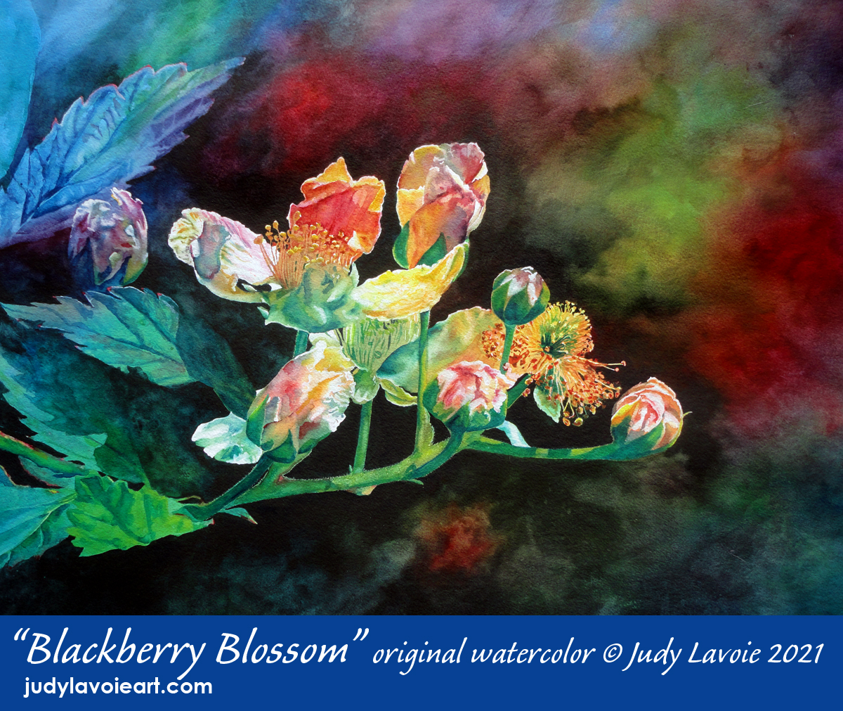 "Blackberry Blossom" title image © Judy Lavoie 2021