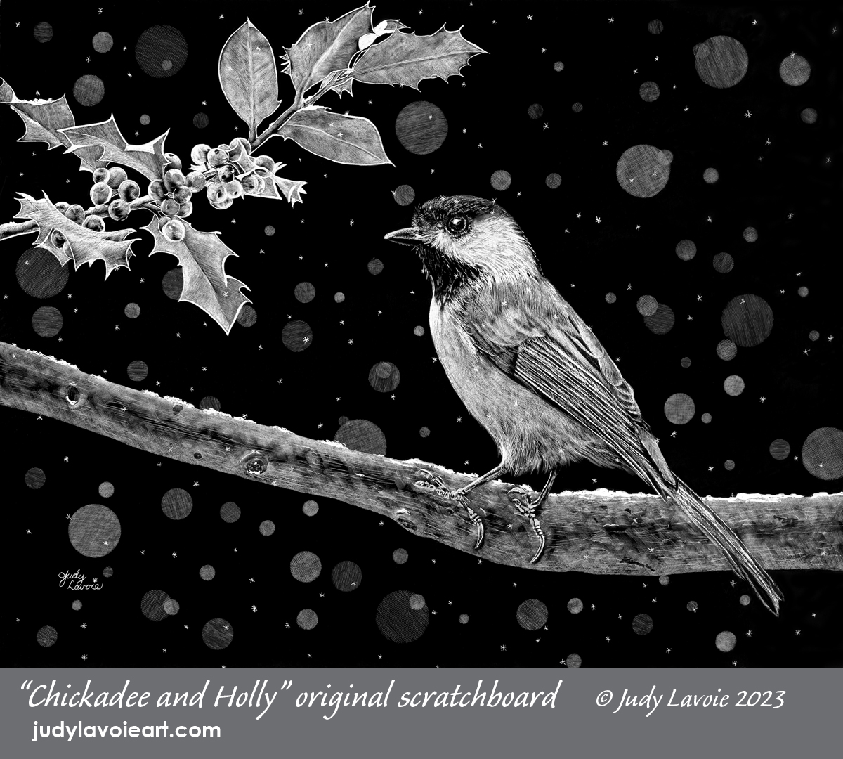 "Chickadee and Holly" scratchboard © Judy Lavoie 2023