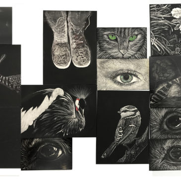 Student Projects from Judy Lavoie's Scratchboard Fine Tuned class