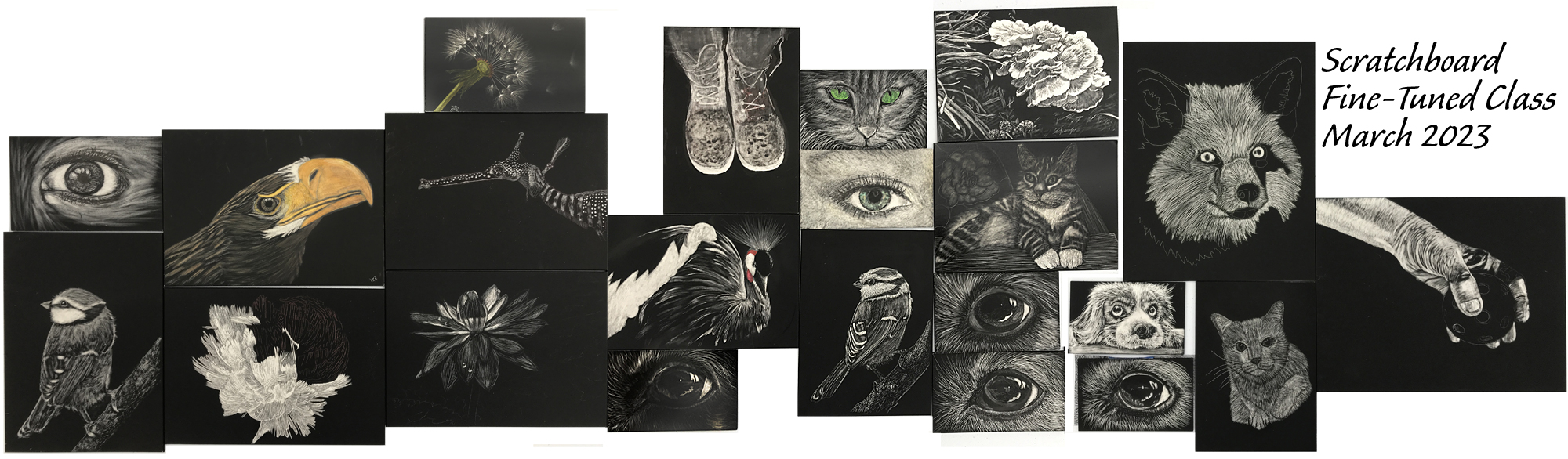 Student Projects from Judy Lavoie's Scratchboard Fine Tuned class