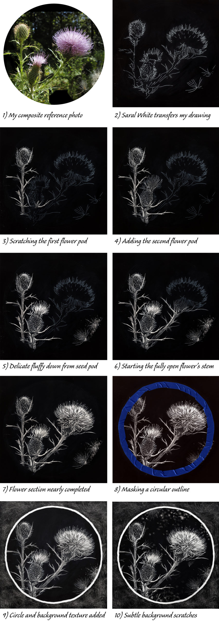 Collage of work in process on scratchboard "Thistle"