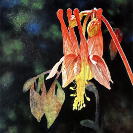"Columbine" original watercolor on Claybord © Judy Lavoie 2025