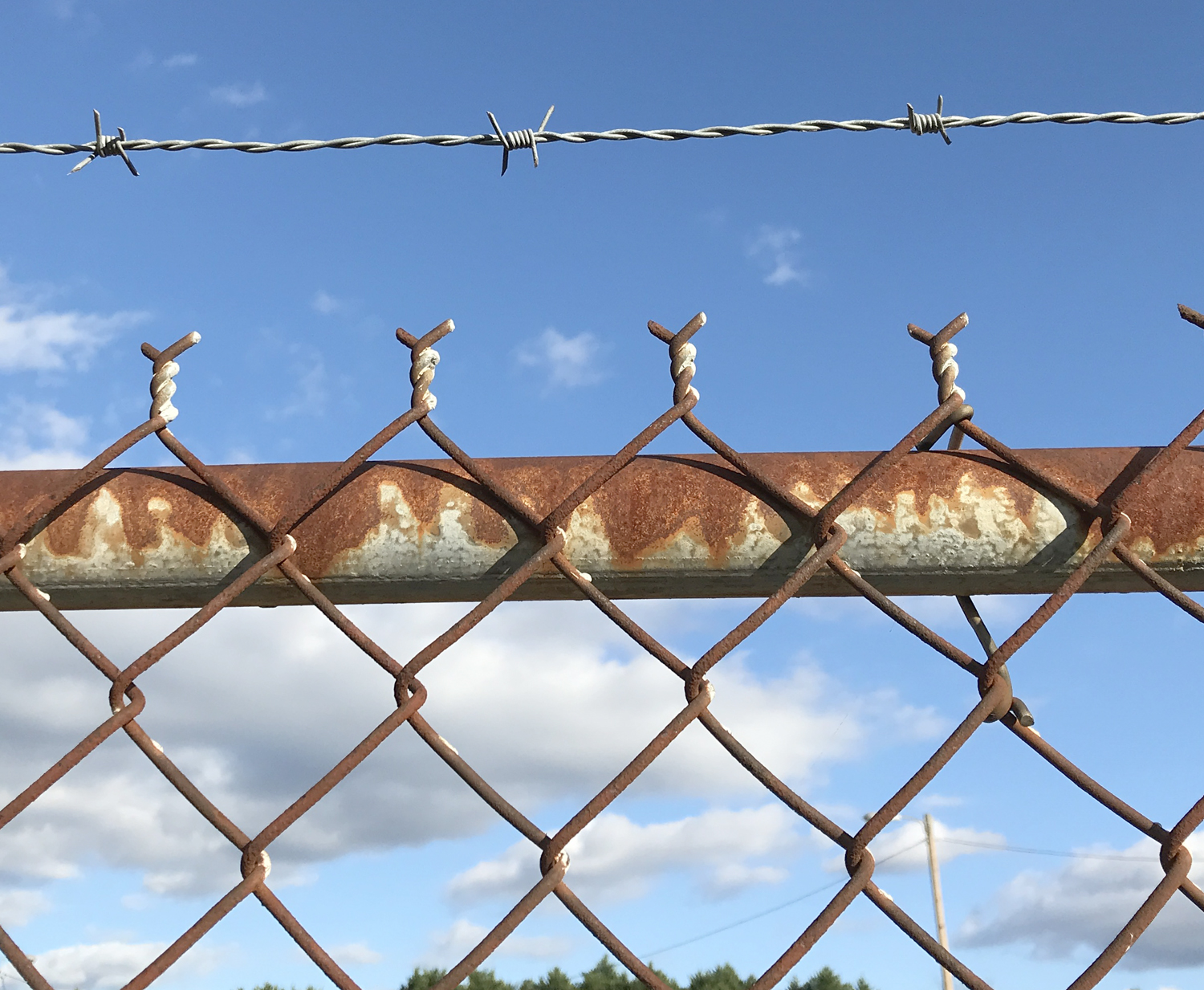 fence reference photo by Judy
