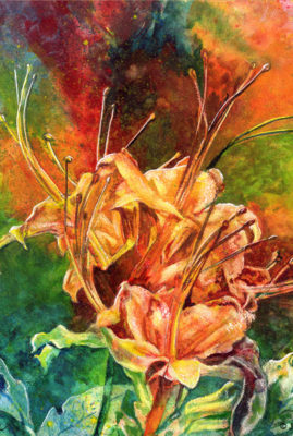 "Flame Azalea," watercolor © Judy Lavoie 2020