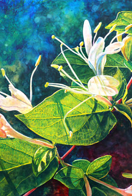 "Honeysuckle," watercolor © Judy Lavoie 2020