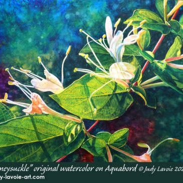 Honeysuckle, original watercolor on Aquabord © Judy Lavoie 2020