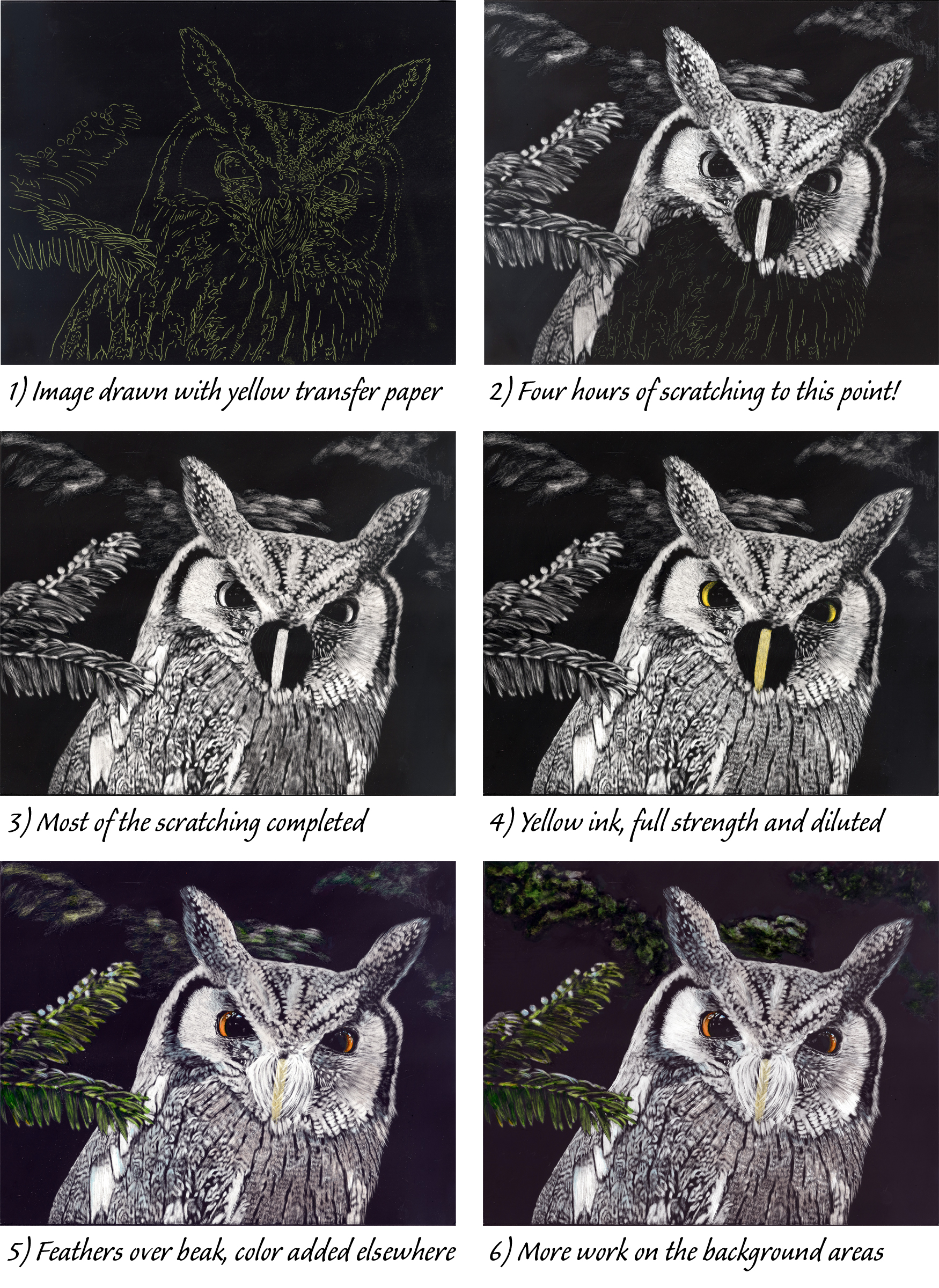 Collage of steps to create "Wise Eyes," a scratchboard by Judy Lavoie