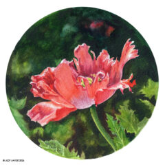 "Pretty Ballerina" original watercolor whiskey painting © Judy Lavoie 2026