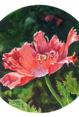 "Pretty Ballerina" original watercolor whiskey painting © Judy Lavoie 2026