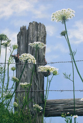 "Queen Anne's Lace" acrylic painting © Judy Lavoie 2007