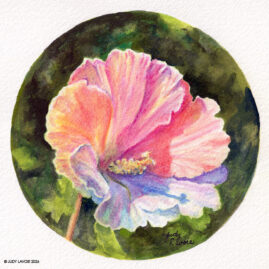 "Rose of Sharon" original watercolor whiskey painting © Judy Lavoie 2026