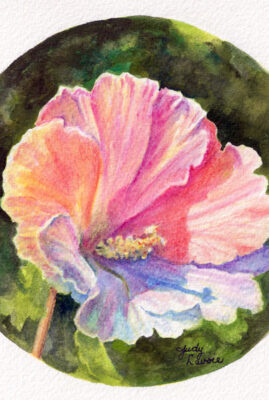 "Rose of Sharon" original watercolor whiskey painting © Judy Lavoie 2026
